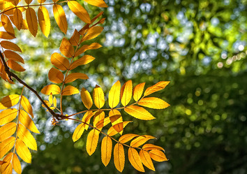 Similar image 15926136