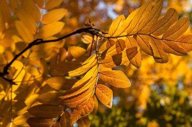 Similar image 15926137