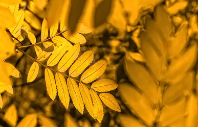 Similar image 15926138