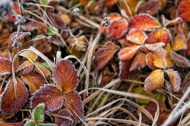 Similar image 15926139