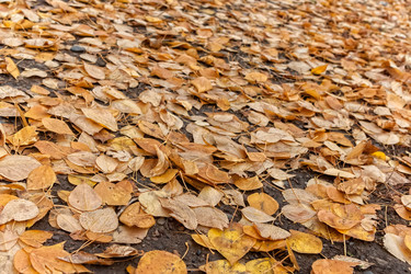 Similar image 15926140