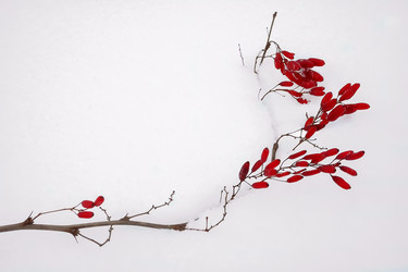 Similar image 15926141