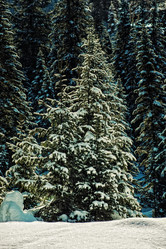 Similar image 15926142