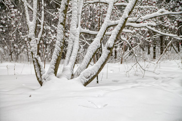 Similar image 15926143