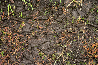 Similar image 15926152