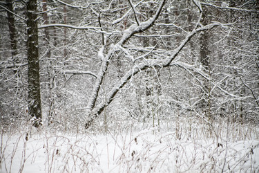 Similar image 15926153