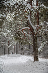 Similar image 15926154