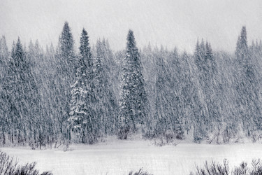 Similar image 15926155