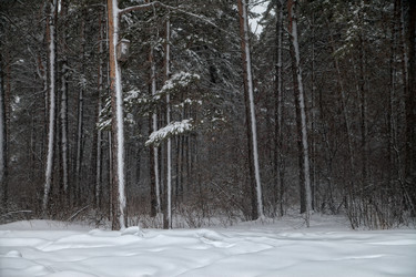 Similar image 15926156