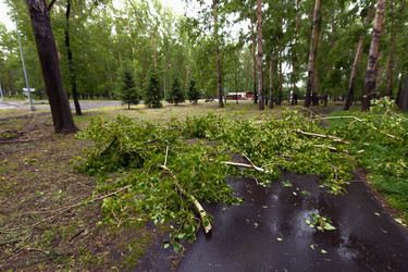 Similar image 15926164