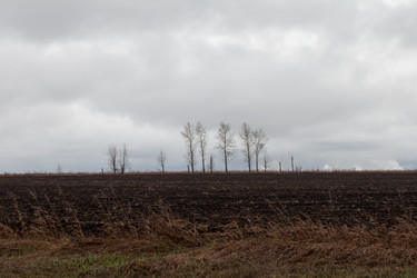 Similar image 15926237