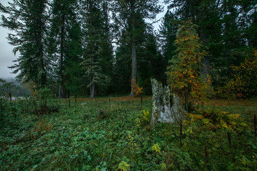 Similar image 15926126