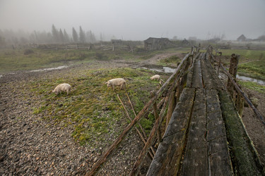 Similar image 15926129