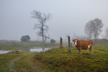 Similar image 15926149