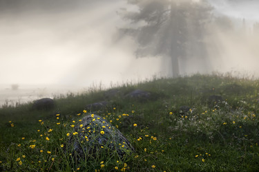 Similar image 15926180