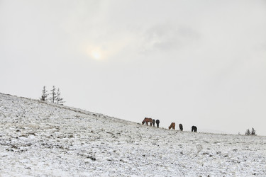 Similar image 15926248