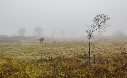 Similar image 15926255