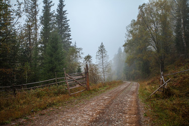 Similar image 15926229