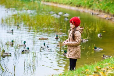 Similar image 16222841