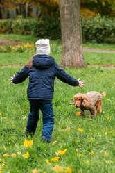 Similar image 16222825