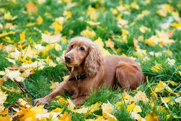 Similar image 16222826