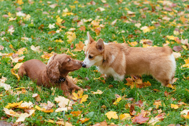 Similar image 16222860