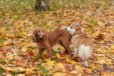 Similar image 16222843