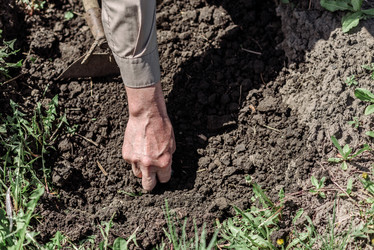 Similar image 16222396