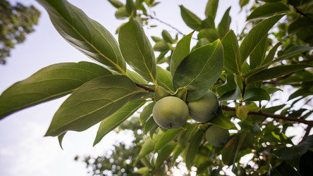 Similar image 15915454