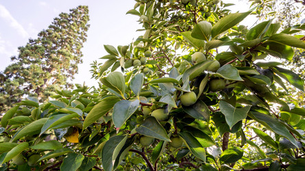 Similar image 15915456