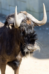 Similar image 15916992