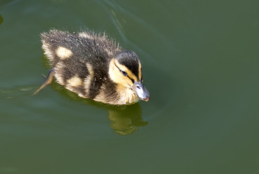 Similar image 15916994