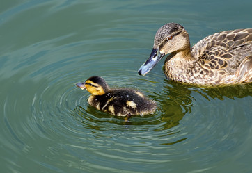 Similar image 15916995