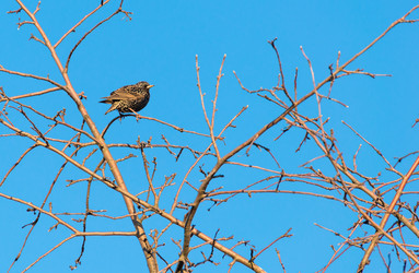 Similar image 15916918