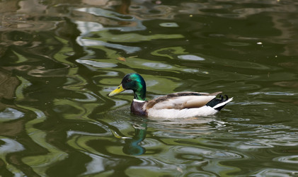 Similar image 15917001