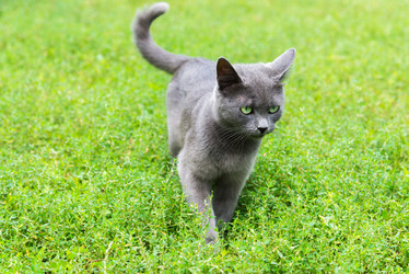 Similar image 16220858