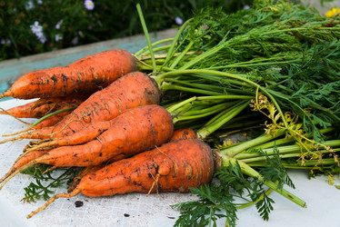 Similar image 16220862