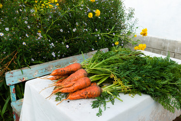 Similar image 16220864