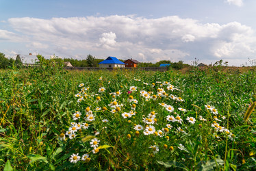 Similar image 16220878