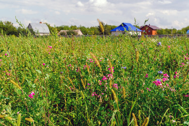 Similar image 16220925