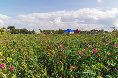 Similar image 16220936