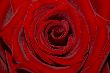 Similar image 15915349