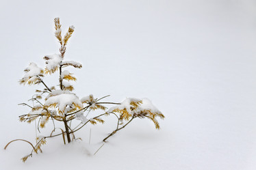 Similar image 15919125