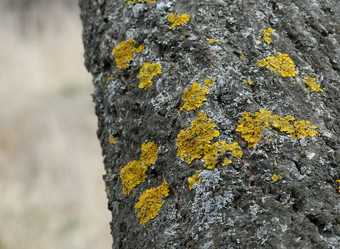 Similar image 15925383