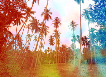 Similar image 15915432