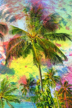 Картинки пальмы нарисованные