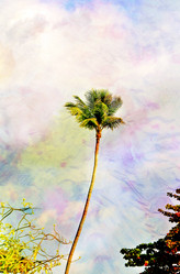 Similar image 15915434