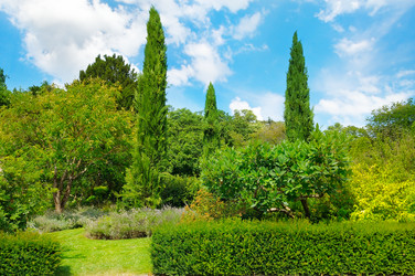 Similar image 15915816