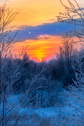 Similar image 15915548