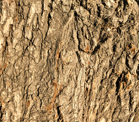 Similar image 15919092